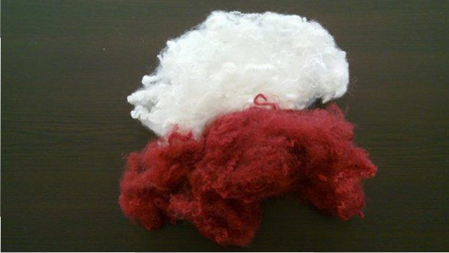 الیاف سالید